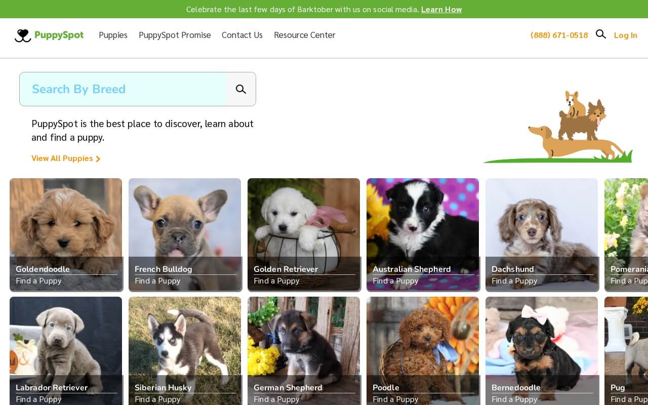 PuppySpot on ReadSomeReviews